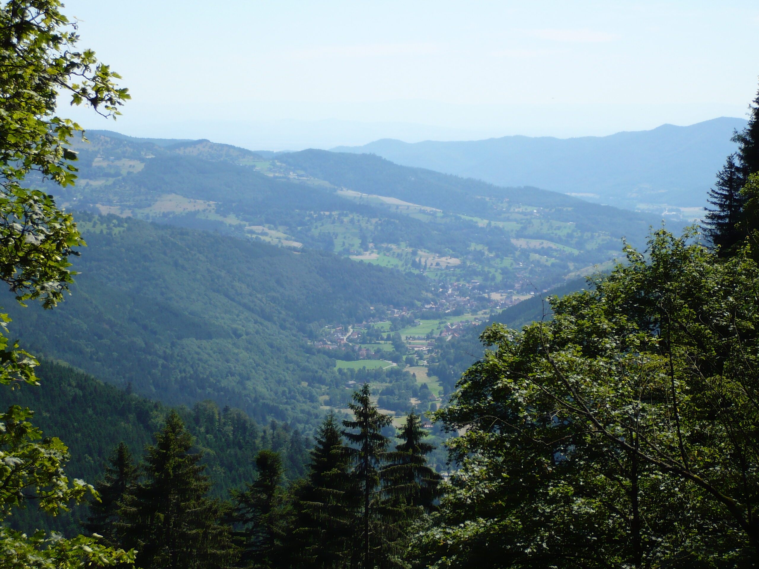 Münstertal Valley